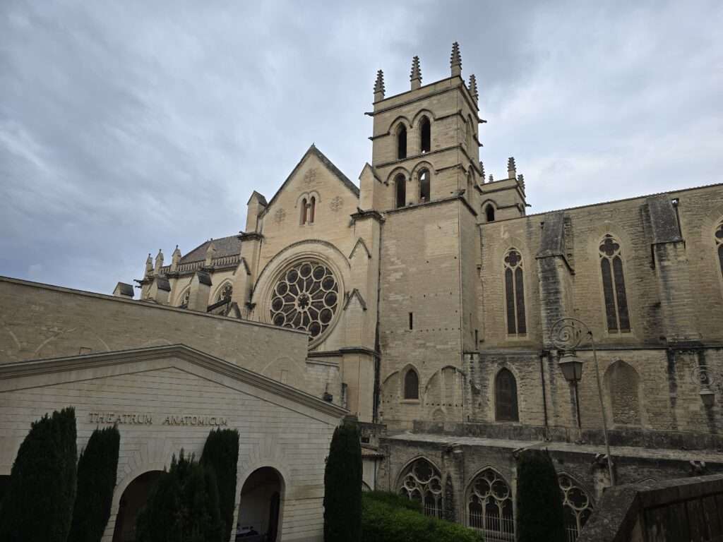 Monpellier katedra