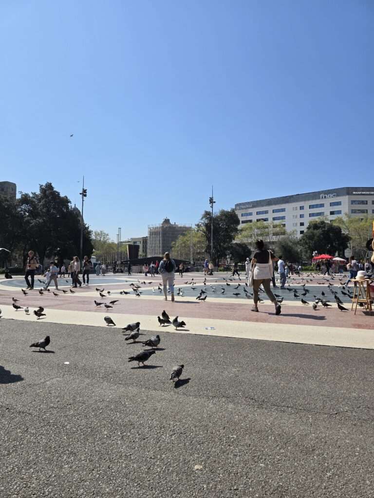Plaça de Catalunya Barcelona